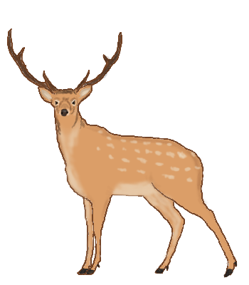 鹿 シカ 動物のイラスト素材 無料テンプレート