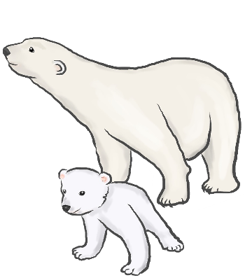 シロクマ 白熊 白くま 動物のイラスト素材 無料テンプレート