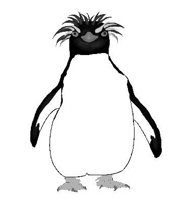 イワトビペンギン 動物のイラスト素材 無料テンプレート イラストテンプレート美里音