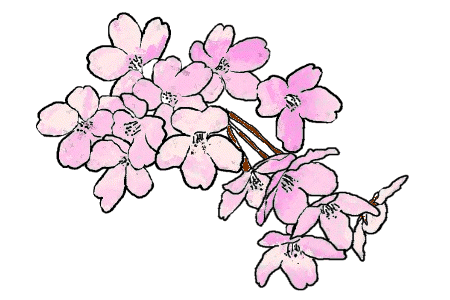 春のイラスト 無料テンプレート 桜