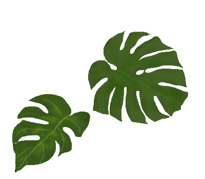 夏のイラスト素材 無料テンプレート ハワイの花と葉 イラストテンプレートミリオン